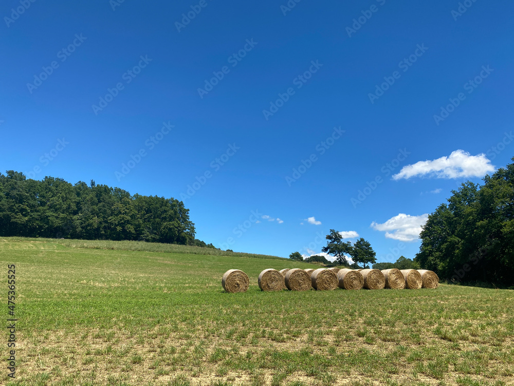 Hay bales in the nature reserve of the sources of Belbo near Camerana, Piedmont - Italy