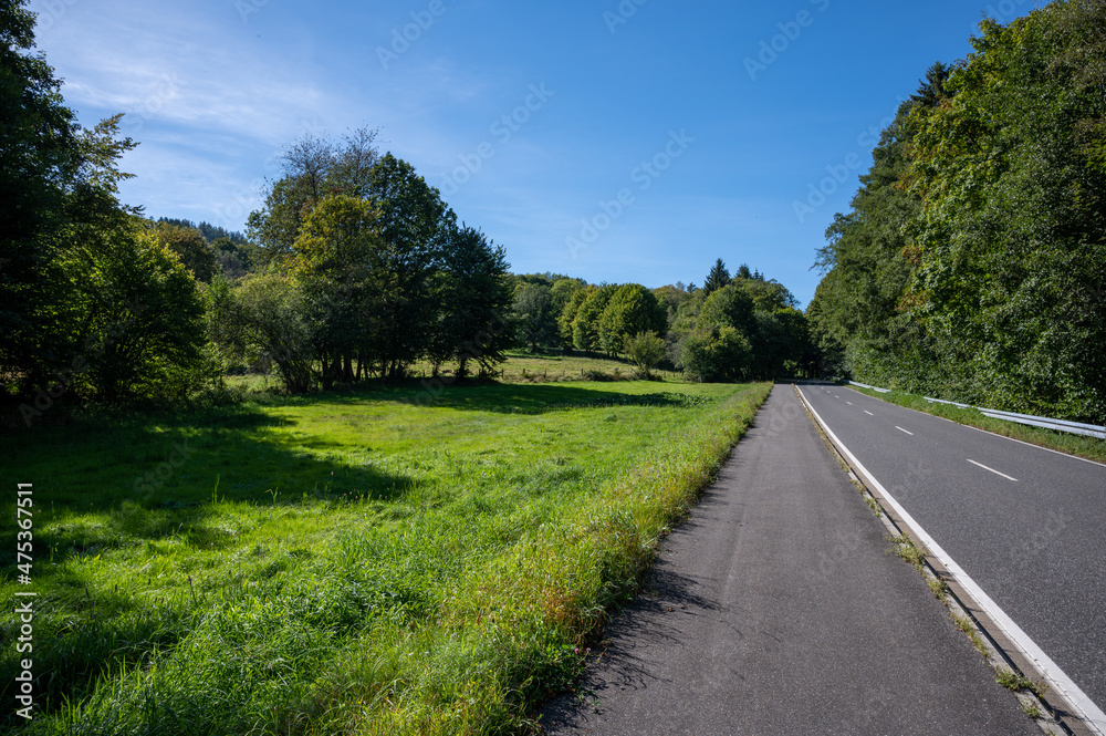 a country road on a sunny afternoon with light backlight with light and shadow play of the trees on the asphalt