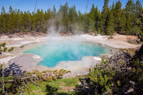 Emerald Spring at Norris Geyser Basin in summer, Yellowstone National Park Wyoming hot springs.