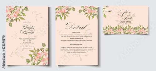 Set of card with flower rose  leaves. Wedding ornament concept. Floral poster  invite. Vector decorative greeting card  invitation design background 