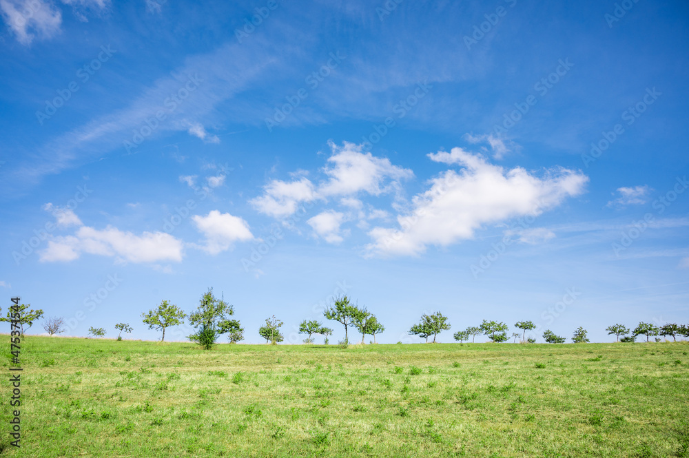 Grüne Landschaft mit Wiese, Bäumen und Feldern Grüne Landschaft mit Wiese, Bäumen und Feldern