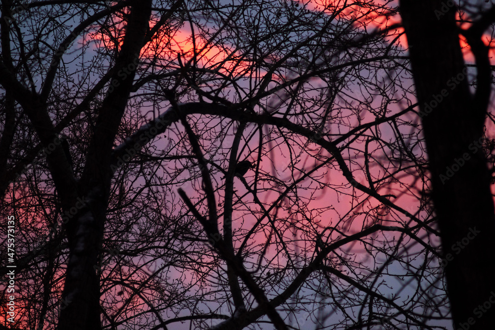 г. Нижний Тагил, Свердловская область.
Декабрь 2021 год. 