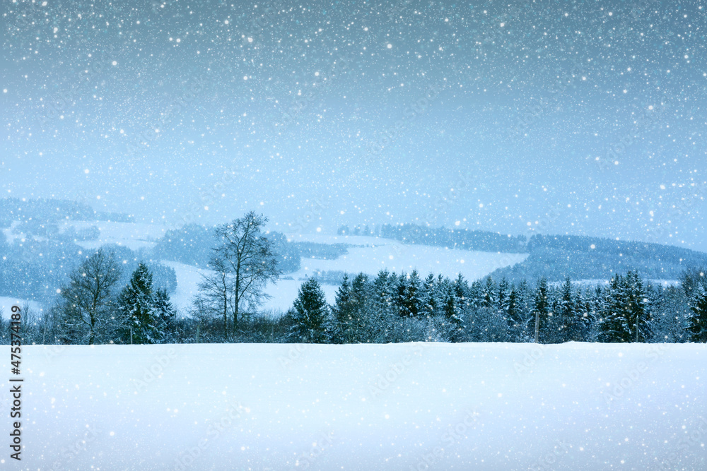 Fototapeta premium Winter landscape with snow covered trees .Christmas background.