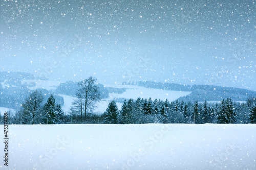 Winter landscape with snow covered trees .Christmas background. © Swetlana Wall