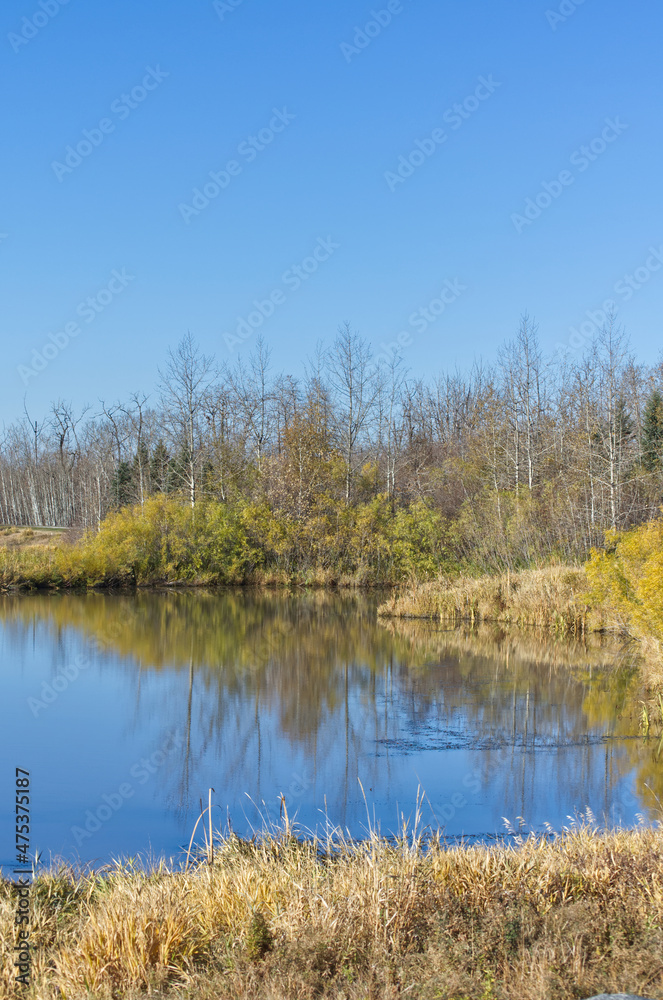 Pylypow Wetlands on a Clear Autumn Day Pylypow Wetlands on a Clear Autumn Day