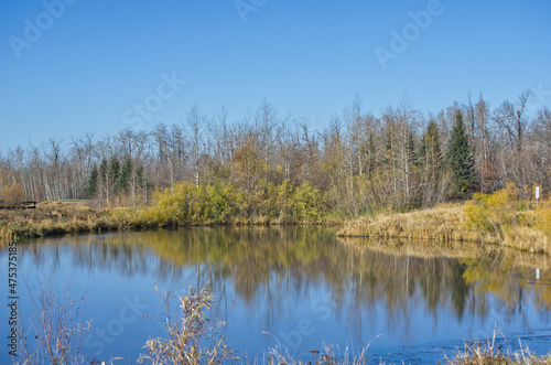 Pylypow Wetlands on a Clear Autumn Day