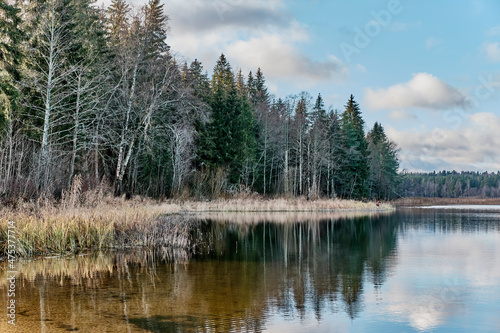 Country landscape in late autumn. Spruce and birch trees reflecting on mirror surface of calm lake on sunny day.