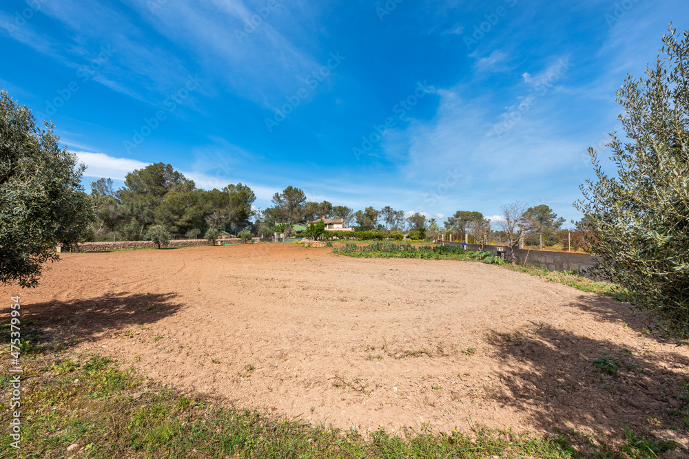 Plowed dirt land with delimiting trees, blue sky Plowed dirt land with delimiting trees, blue sky