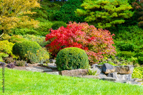 Fototapeta Naklejka Na Ścianę i Meble -  garden with flowers and plants