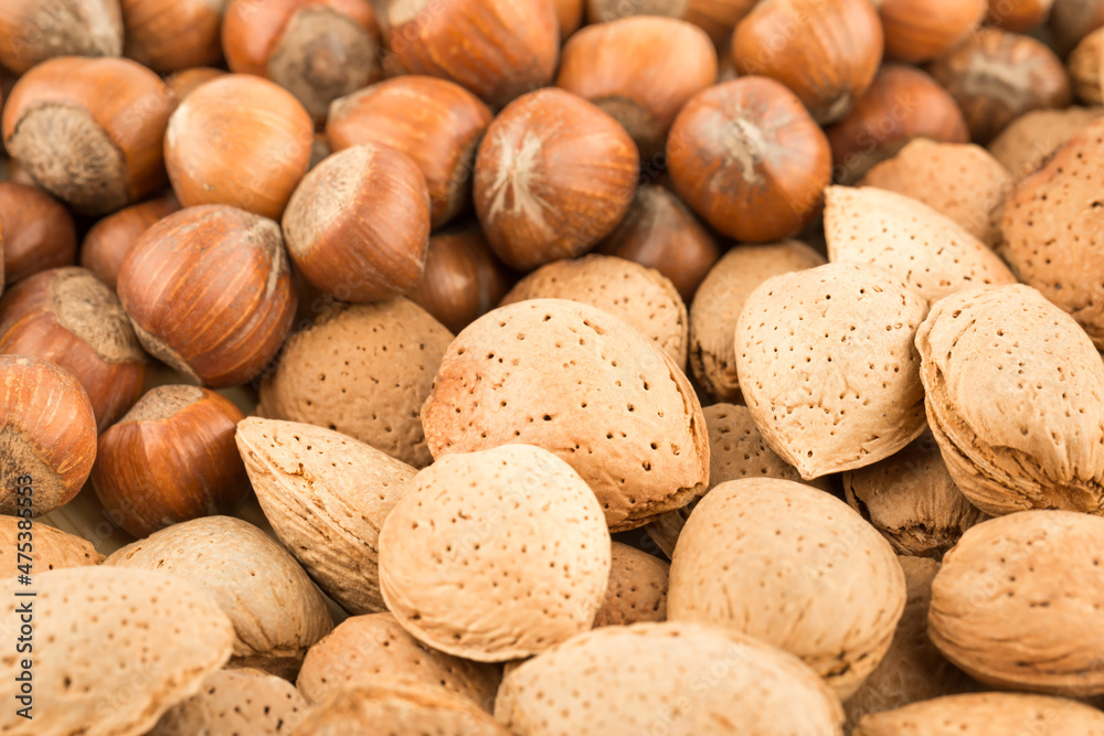background of nuts background of nuts