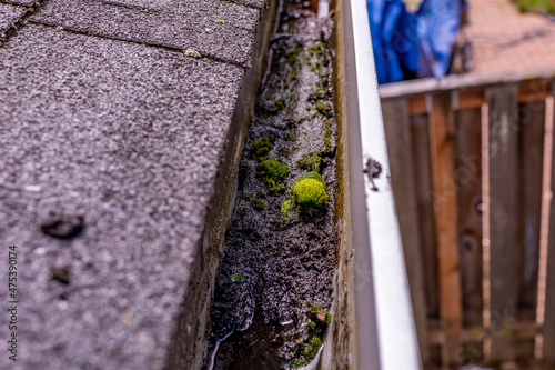 Up close photo of a gutter full with mud, sand and debris. Moss grow inside
