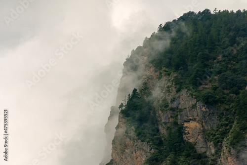 Forest in southern Himalayas covered in cloud, Rasuwa District, Province 3, Nepal