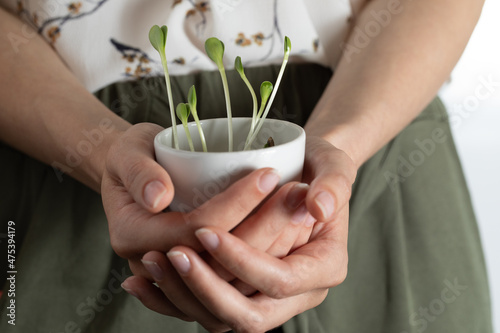 Female hands hold green flower plants in tiny flowerpot