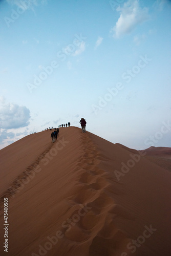 People in a row walking on the Dune 45 in Namib desert. Namibia