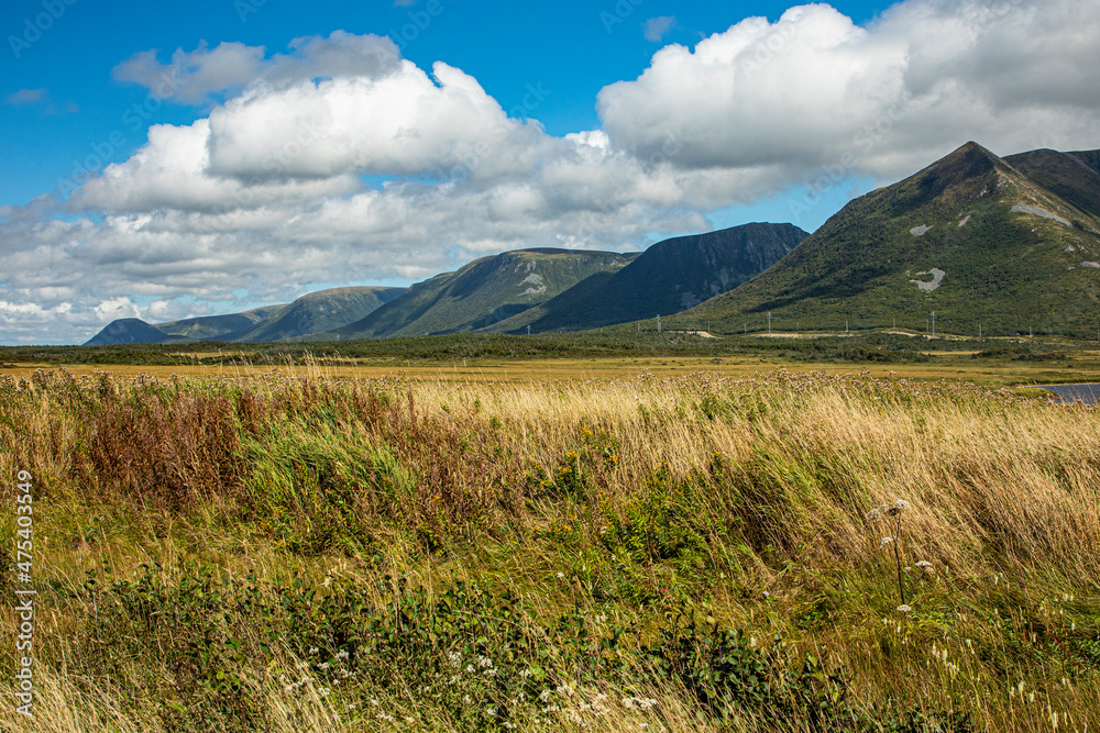 Fototapeta premium Canada, Newfoundland, Long Range Mountains