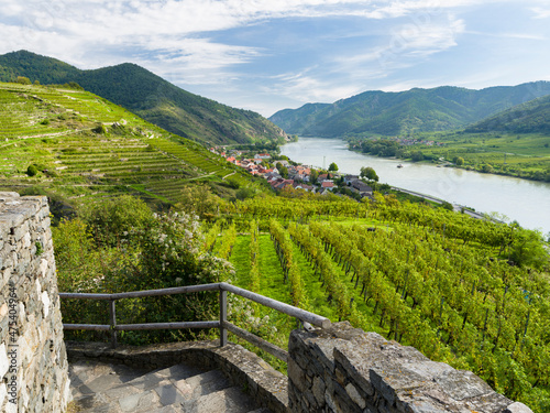 Castle ruin Hinterhaus. Historic village Spitz located in wine-growing area, UNESCO World Heritage Site. Lower Austria photo