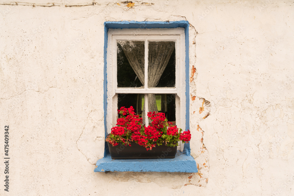 Europe, Ireland, Cashel. House with colorful window and flowers.