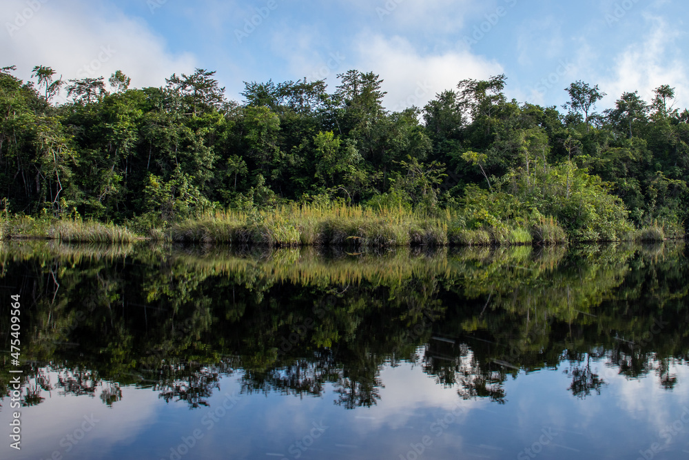 Landscape with the forest reflecting in the river in the brazilian Amazon region near Marajo island. Landscape with the forest reflecting in the river in the brazilian Amazon region near Marajo island.