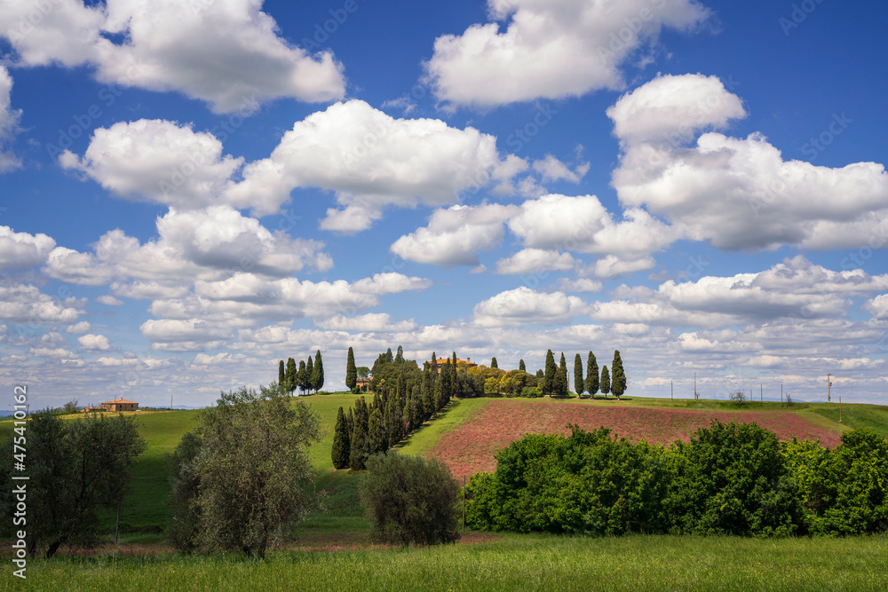 Europe, Italy, Tuscany. Large farm in the Val d' Orcia. Europe, Italy, Tuscany. Large farm in the Val d' Orcia.