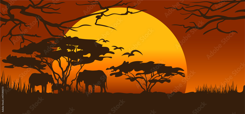 Beautiful sunset safari scene with  elephants  and trees silhouette. Vector illustration