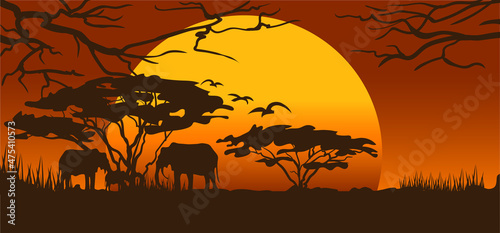 Beautiful sunset safari scene with  elephants  and trees silhouette. Vector illustration