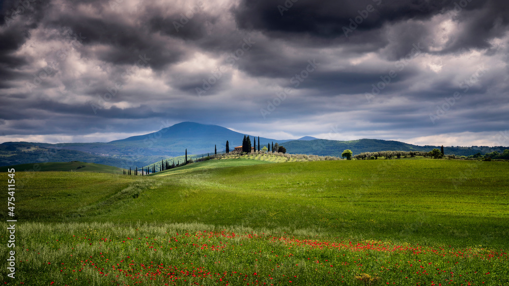 Europe, Italy, Tuscany, Val d Orcia. Farmland under stormy sky.