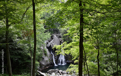 Bash Bish Falls - Hudson, NY photo