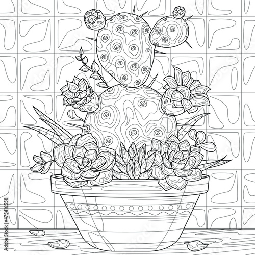 Cactus and succulents in a flowerpot.Coloring book antistress for children and adults. Illustration isolated on white background.Zen-tangle style. Hand draw
