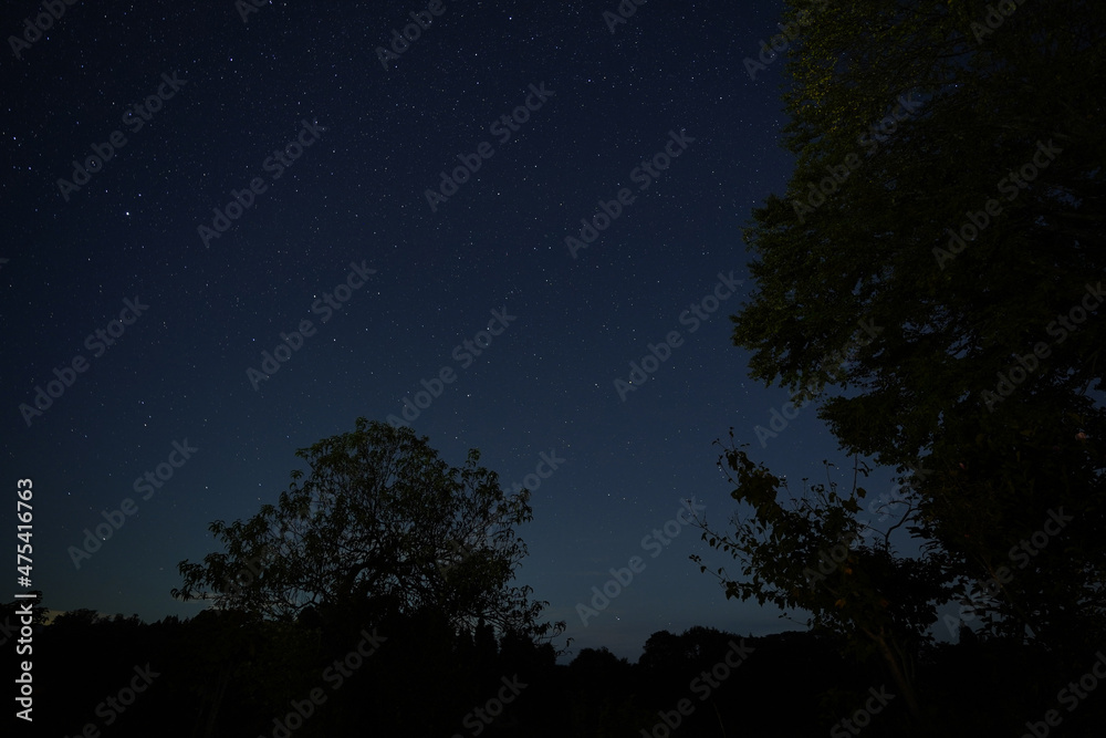 Naklejka premium 星空と木々