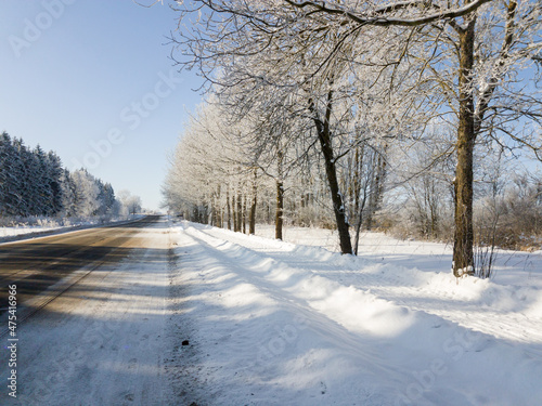 Beautiful winter landscape - trees in the snow