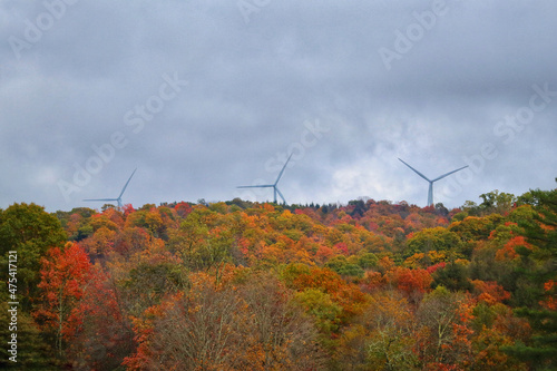 Natural view of a grove of autums trees with dark clouds above photo
