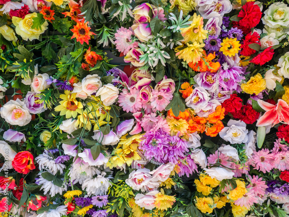 Portugal, Lisbon. The San Antonio wall flowers near the entrance of the Museu de Lisboa. Portugal, Lisbon. The San Antonio wall flowers near the entrance of the Museu de Lisboa.
