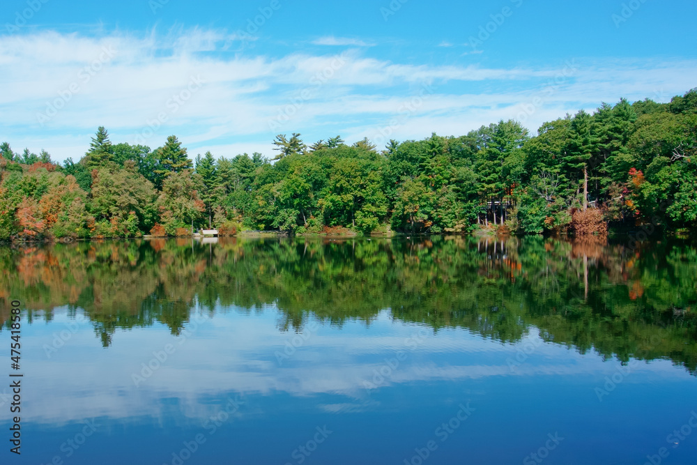 Tranquil lake and reflections