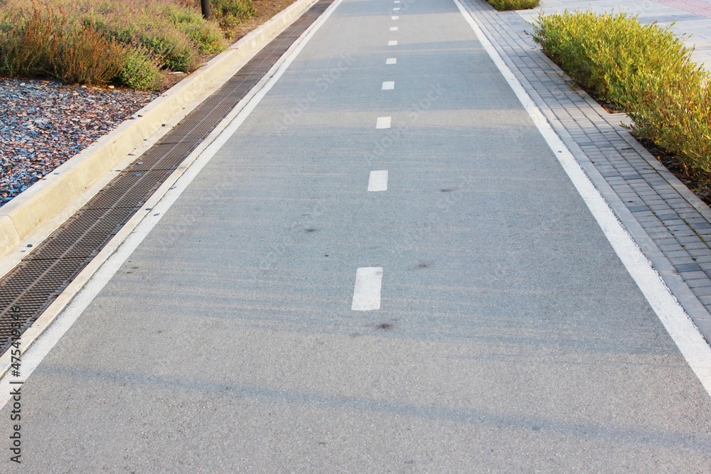 custom made wallpaper toronto digitalBicycle road sign on asphalt Bicycle path in the morning in the city in summer with elms Direction of movement of the bike Cycle path direction sign painted on the carriageway on the city street of