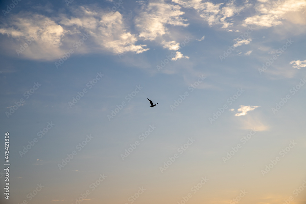 Sunrise, beautiful natural landscape in the city Sunrise, beautiful natural landscape in the city
