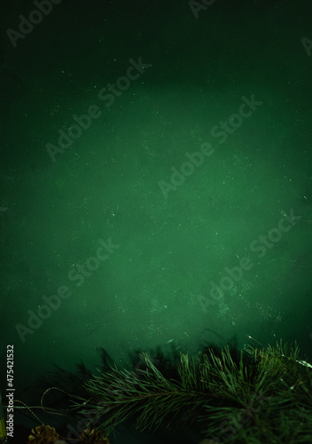 Christmas and New year green background for text. On the sides of a spruce branch