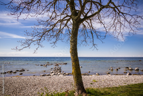 Sweden, Gotland Island, Visby, Strandpromenaden, coastal walkway photo