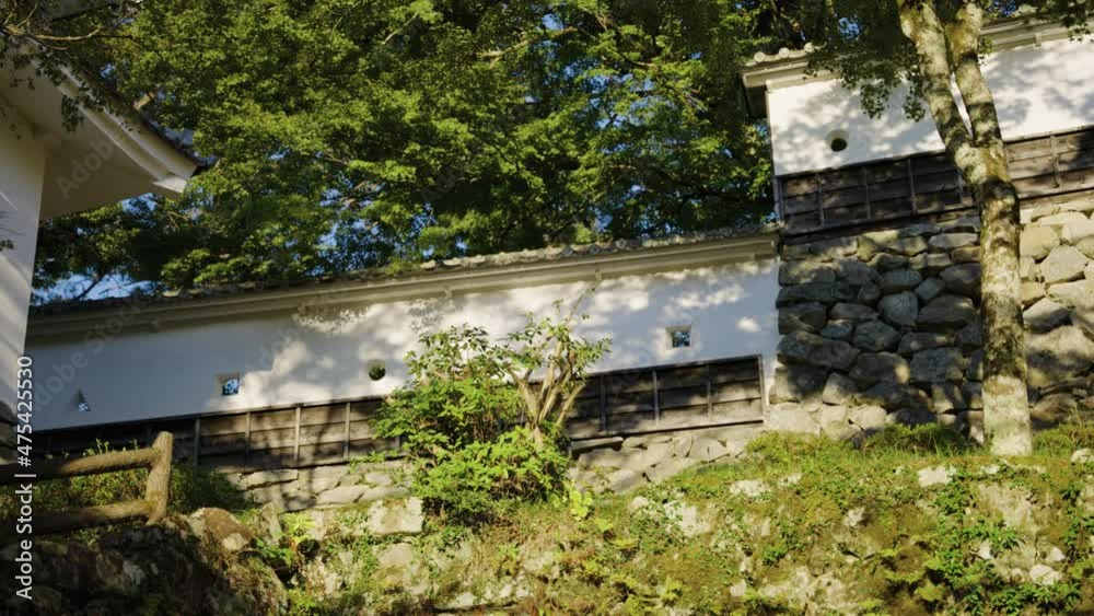 Summer Scene Over Japanese Castle Walls, Gujo Hachiman, Gifu