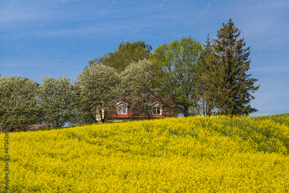 Sweden, Bergs Slussar, springtime landscape