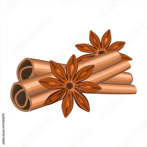 Realistic spices for Christmas mulled wine. Christmas scent cinnamon and anise spices set isolated on white background. Vector illustration EPS 10