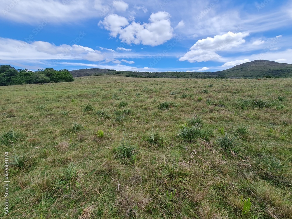 Fototapeta premium fazenda para pecuária