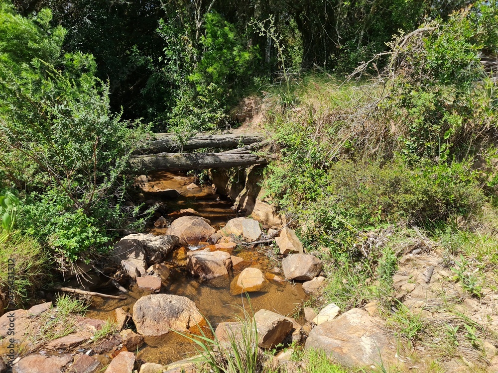 arroio, água, nascente, irrigação, fonte arroio, água, nascente, irrigação, fonte
