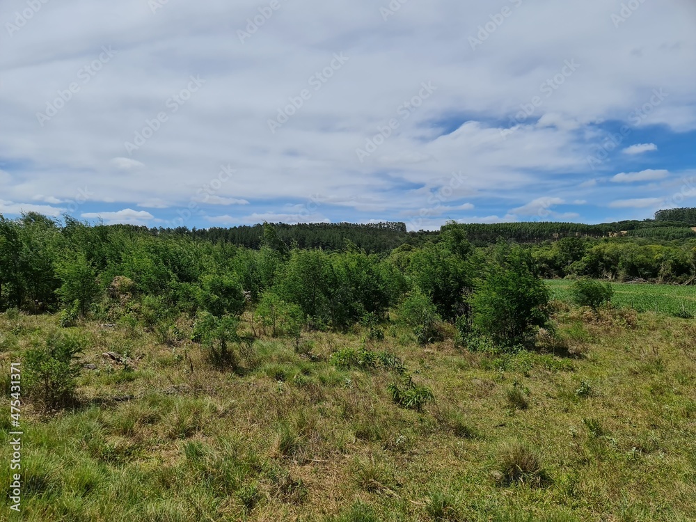 Fototapeta premium fazenda para pecuária