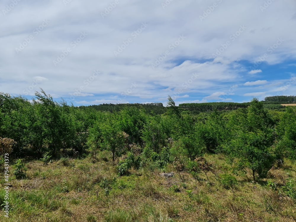fazenda para pecuária