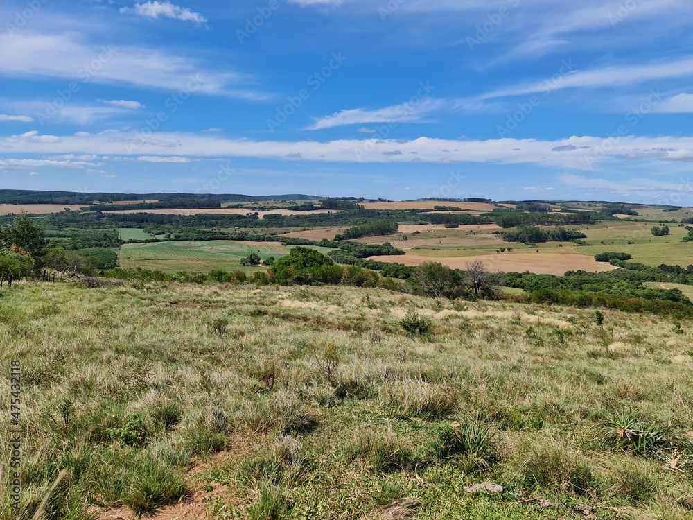 fazenda para pecuária fazenda para pecuária