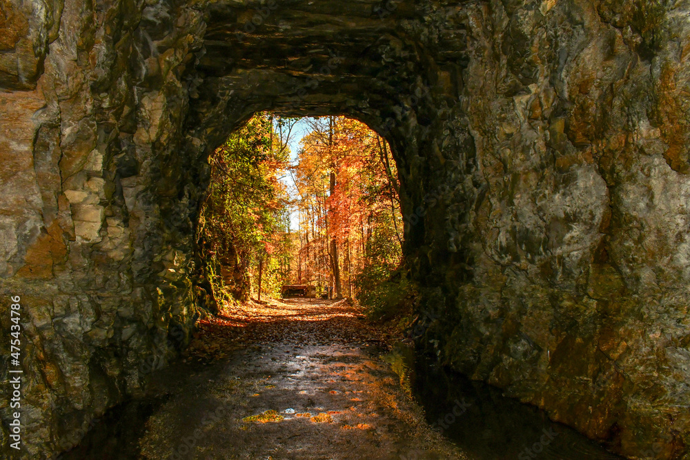 Obraz premium Stumphouse Mountain Tunnel in Oconee County, South Carolina