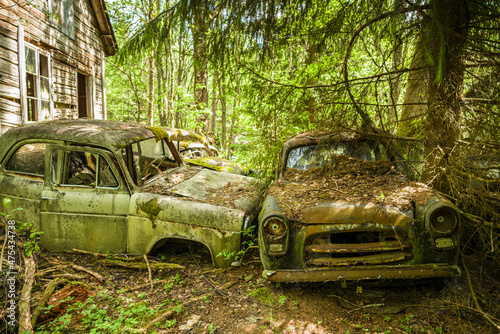 Sweden, Varmland, Bastnas, Bastnas Car Cemetery public park, antique car junkyard © Danita Delimont