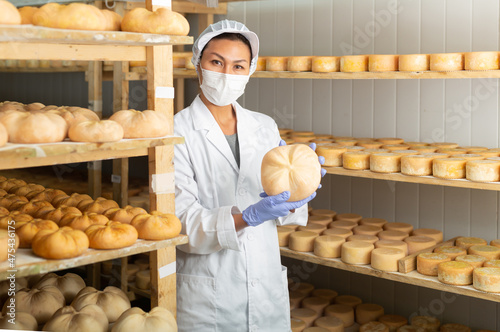 Confident woman cheesemaker wearing white robe and protective face mask checking aging process of hard goat cheese in special maturing chamber at dairy
