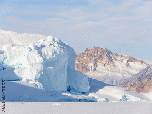 Icebergs frozen into the sea ice of the Uummannaq fjord system during winter. Greenland, Danish Territory