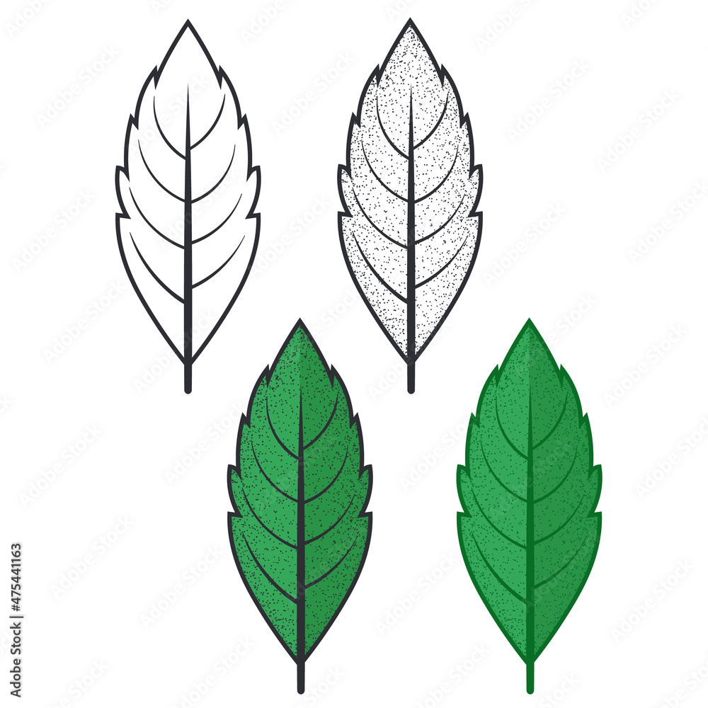 Colorful hand drawn autumn leaves. Hand draw leaves collection 02. Autumn leaf vector illustration.